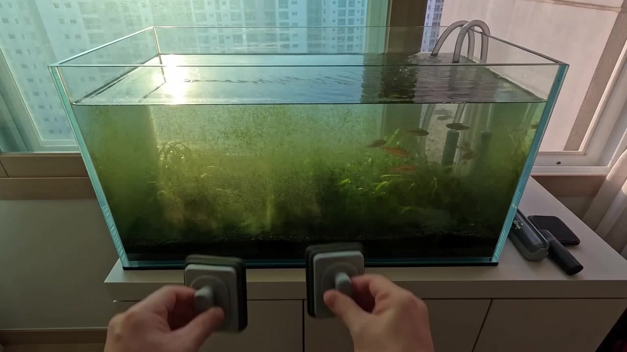 어항 한 구역 관리하기
